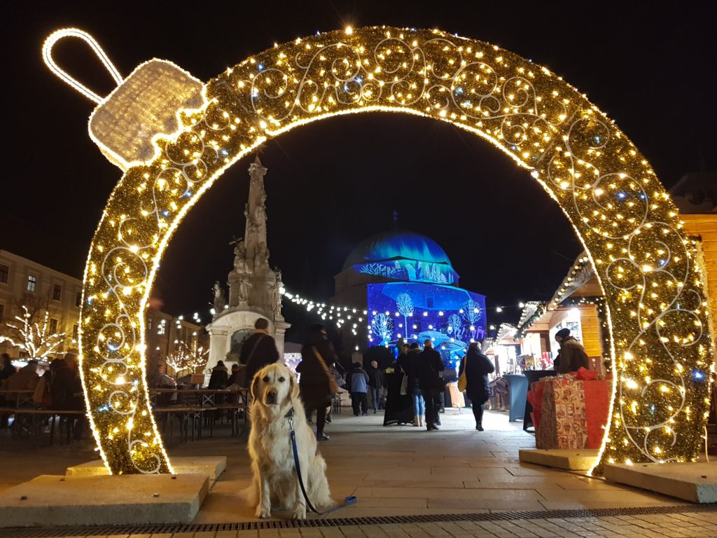 Utazz Kutyáddal Adventi Naptár